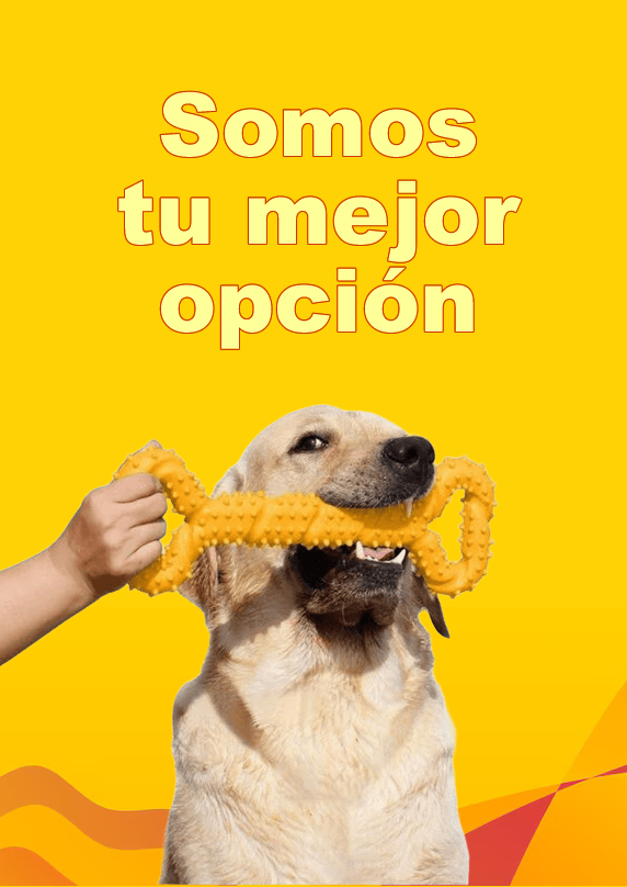 Retriever Kennel Peru